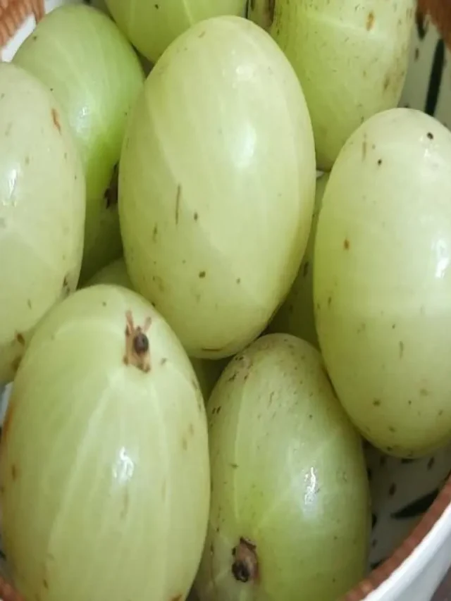 amla