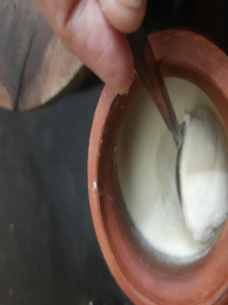 Faloodathickcurd