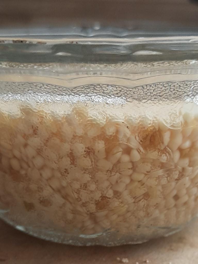 Ragi 3
